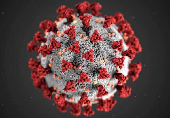 covid-19-coronavirus-covid-cell-pandemic-corona-virus-1608796-pxhere.com (1)