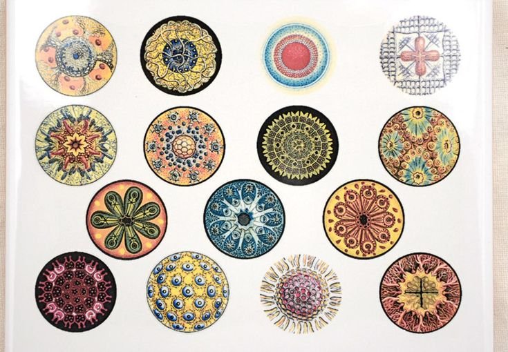 Circle Decals