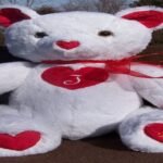 Custom Teddy Bear